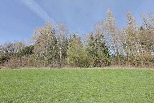 Ansicht auf unteren Teil des Grundstückes - 