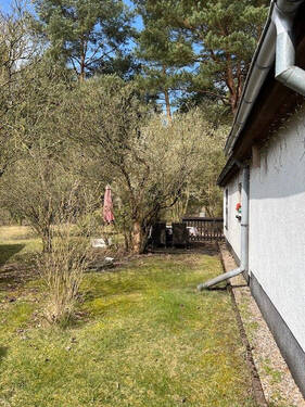 bild 5.jpg - 