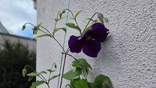 Außenansicht - 