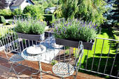 Bild6 - 
