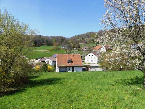 Blick nach Westen - Traumlage mit Aussicht! Baugrundstück Leuzenberg-Reichenschwand