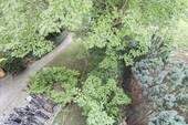 Innenhof - 