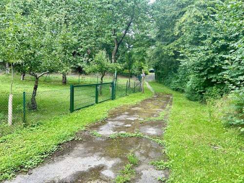 Bild6 - 