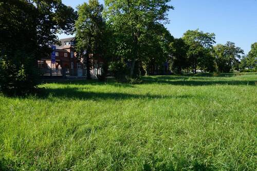 Bild 3 - Grundstück in Riesa