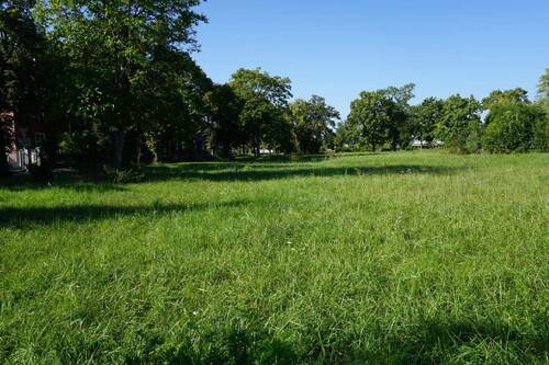 Bild 4 - Grundstück in Riesa zum Kaufen