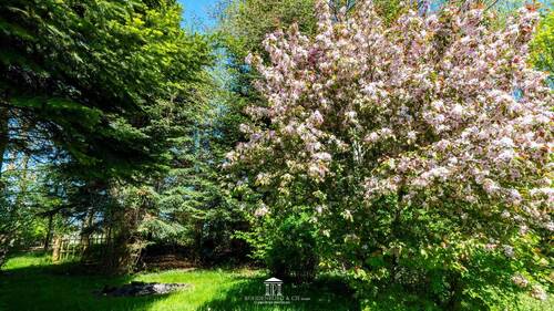 DSC_5208-HDR.jpg - 