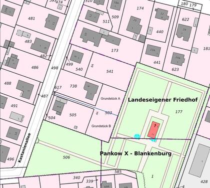 Flurstück 503 Teilung - 