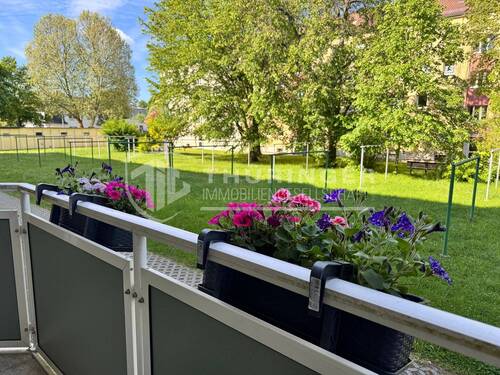 Blick vom Balkon - 