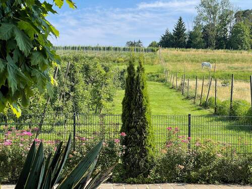 Idyllische Umgebung - 