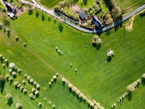 green - Grundstück in Nusbaum zum Kaufen