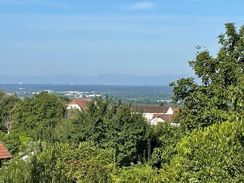 Vogesensicht! - Grundstück zum Kaufen in Lauf