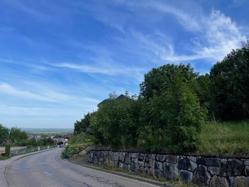 Straßenansicht - Grundstück in Lauf