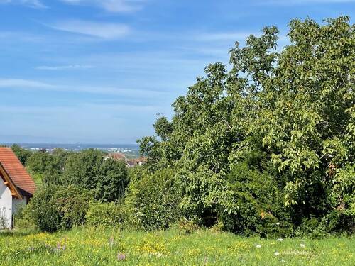 Grundstück mit Aussicht - Grundstück in Lauf zum Kaufen