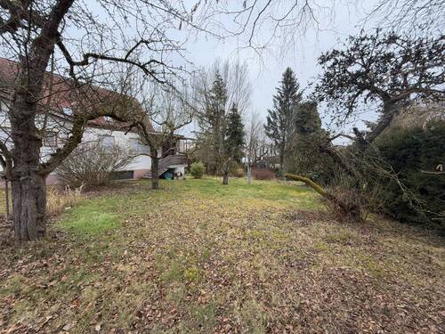 img-1338.jpg - 1 Zimmer Einfamilienhaus in Dillingen an der Donau