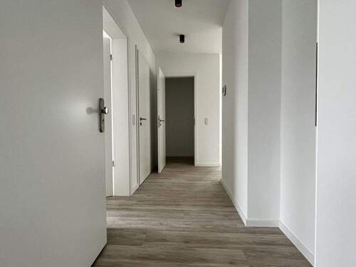 Bild11 - 