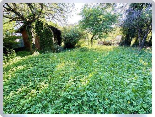 Garten - 
