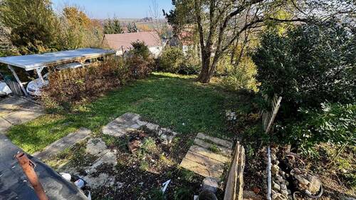 Blick in den Garten - 