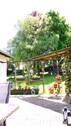 Blick vo der Terrasse - 