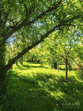 Garten - 