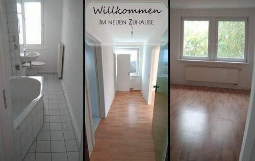 Wohnung - Wäre das was für Sie? Eine hübsche Zwei-Zimmer-Wohnung ist frei
