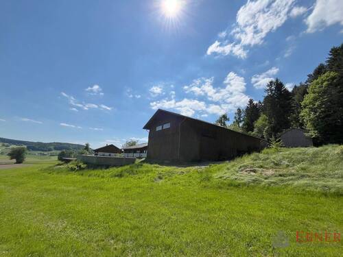 Stadel und Umfeld - 