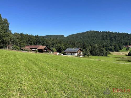 Anwesen gesamt - Anwesen in Traumlage mit Blick über den Bayerwald Nähe Viechtach
