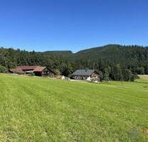 Anwesen in Traumlage mit Blick über den Bayerwald Nähe Viechtach - Kollnburg Rechertsried
