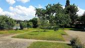 Gartenanlage direkt am Neckar - 