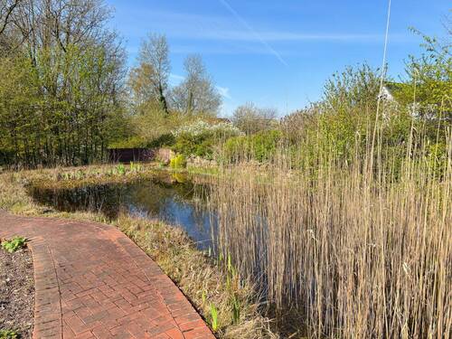 Garten & Teich - 