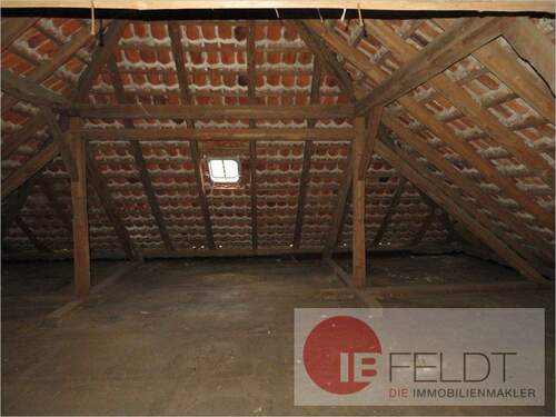 Nutzfläche im Nebengeb. Foto IV - 