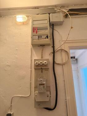 IMG_4725.jpeg - 