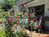 Terrasse - 