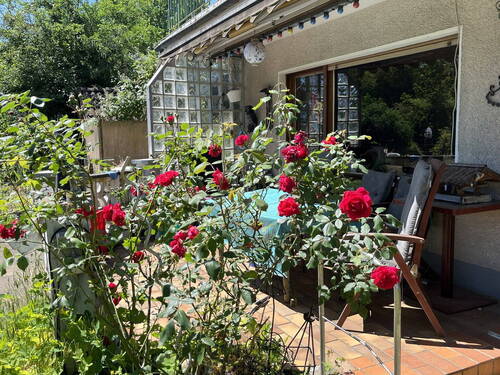 Terrasse - 