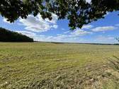Nahe Felder - 