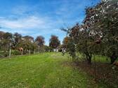 Grundstücksansicht - Mehrfamilienhaus, Wohnhaus mit 213,00 m² in Richtenberg zum Kaufen