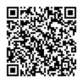 QR-Code - 