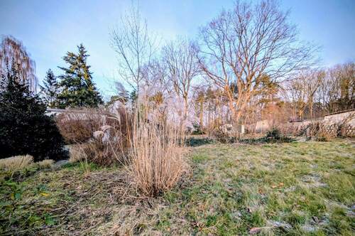 PXL_20260122_143338575~3.jpg - 