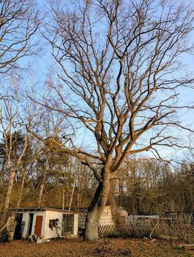 PXL_20260122_143514804~2.jpg - 