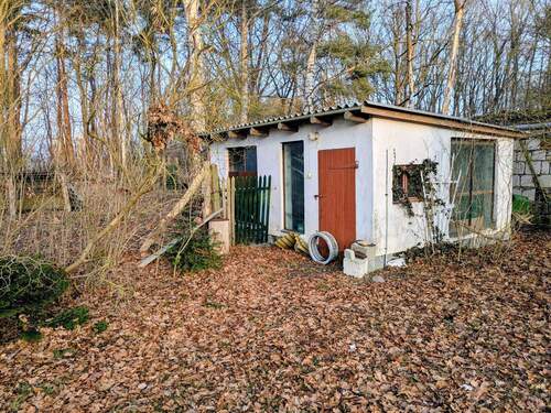 PXL_20260122_143529169~2.jpg - 