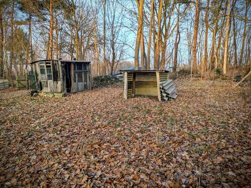 PXL_20260122_143608225~2.jpg - 