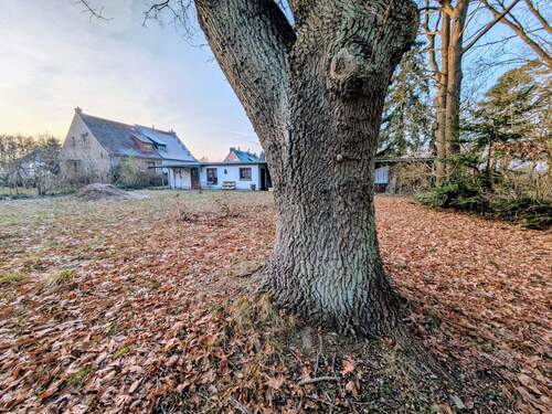 PXL_20260122_143640342~2.jpg - 