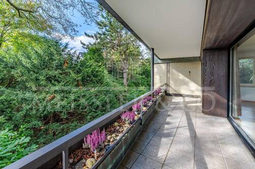 Balkon - 