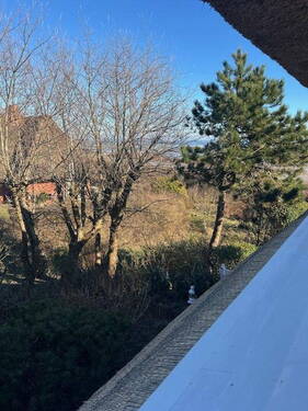 Nord-Ost-Blick im März - 