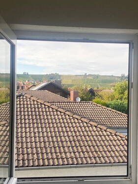 Ausblick zweites Haus - 