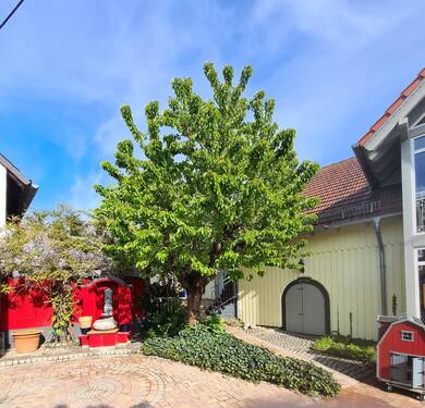 Blick in Innenhof - 