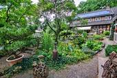 Blick zum Haus - 