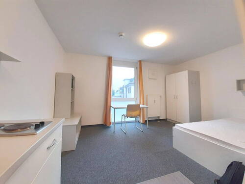 Bild 1 - Zentrales Studentenapartment ab 01.10.2025