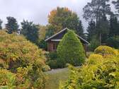 Garten / Beflanzung - 