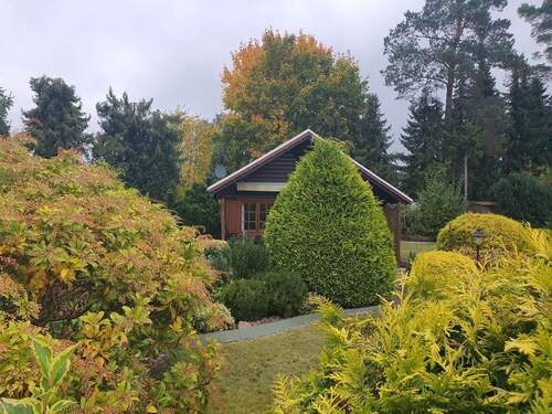 Garten / Beflanzung - 