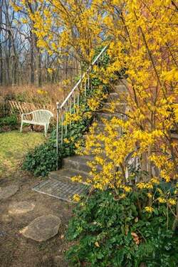 Gartenansicht - Perfekte 5 Zimmer-Wohnung mit Garten am Jungfernheidepark direkt vom Eigentümer (provisionsfrei)